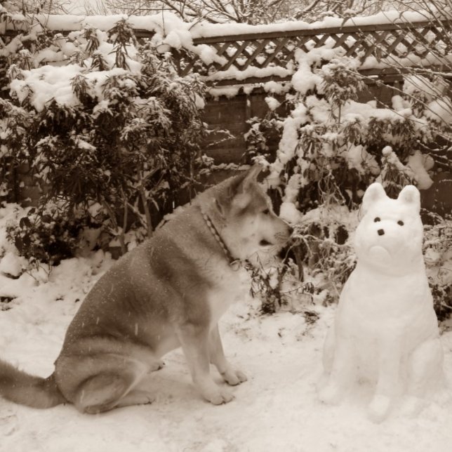 cute akita in snow with snowman akita dog photo jigsaw puzzle (Creator Uploaded)