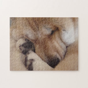 cute akita sleeping cuddling paws jigsaw puzzle