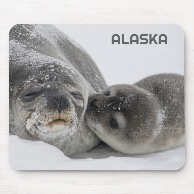 Cute Alaska Baby Seal and Mum Mouse Pad (Front)