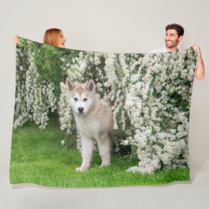 Cute Alaskan Malamute Dog Puppy in Flowers Photo Fleece Blanket