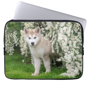 Cute Alaskan Malamute Dog Puppy in Flowers Photo - Laptop Sleeve