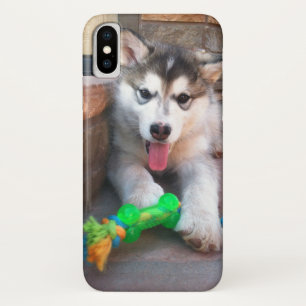 Cute Alaskan Malamute Puppy With Rope Toy Photo iPhone X Case