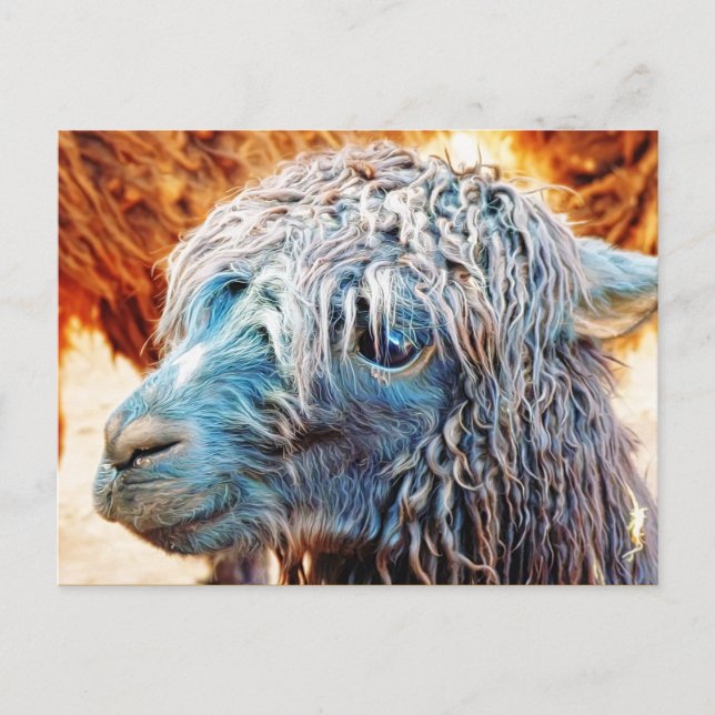 Cute Alpaca Baby in Blue Postcard (Front)