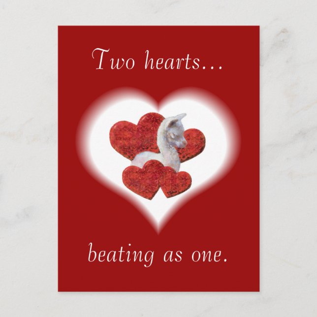 Cute Alpaca Baby Valentines Day Postcards (Front)