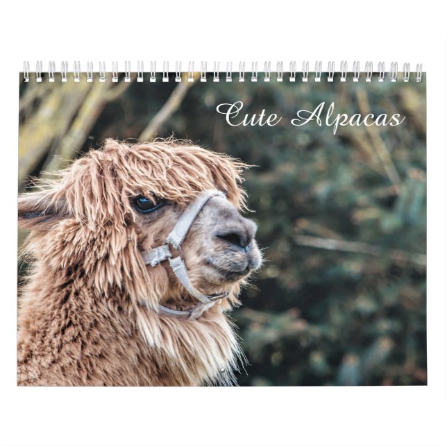 Cute Alpaca Calendar Fully Customisable (Cover)