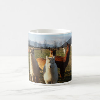 Cute Alpaca Coffee Mug