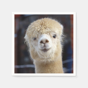 Cute Alpaca face         Napkin