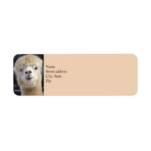 Cute Alpaca face Return Address Label