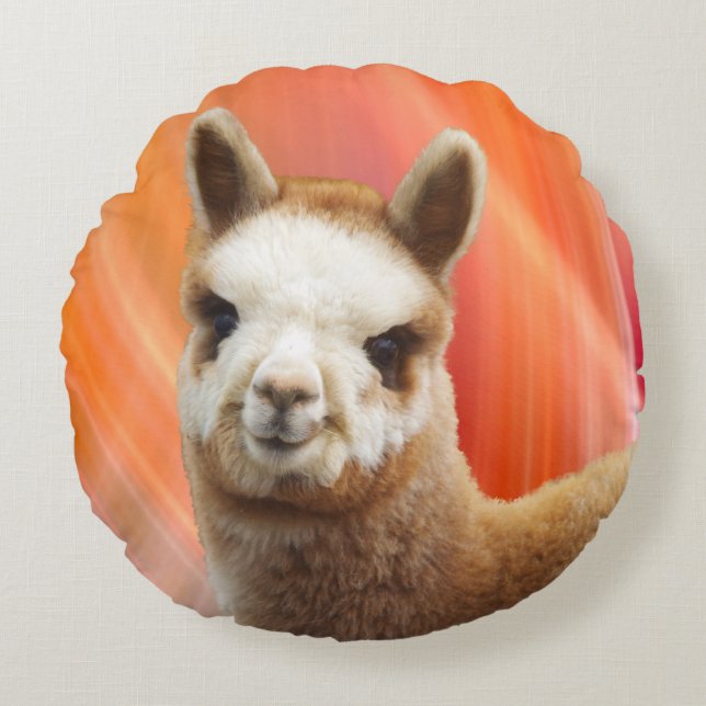 Cute Alpaca Round Pillow (Front)