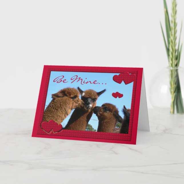 Cute Alpaca Valentines Day Greeting Card (Front)