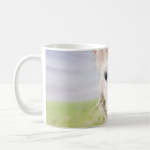 Cute Alpaka 1 #animal #nature Coffee Mug
