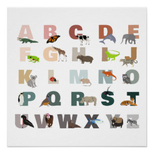 Cute Alphabet ABC Animals Classroom Nursery Poster