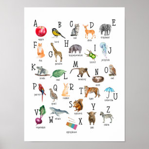 Cute Alphabet ABC Educational Poster
