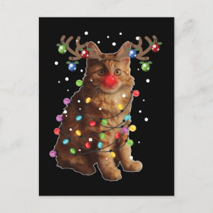 Cute American Bobtail Cat Christmas Holiday Gifts Postcard