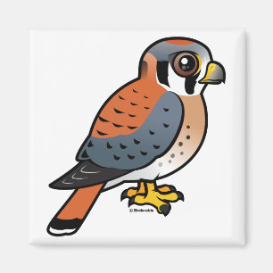 Cute American Kestrel Magnet