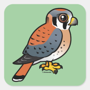 Cute American Kestrel Square Sticker