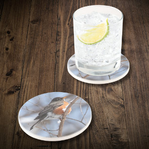 Cute American Robin Sits on Snowy Branch in Winter Coaster