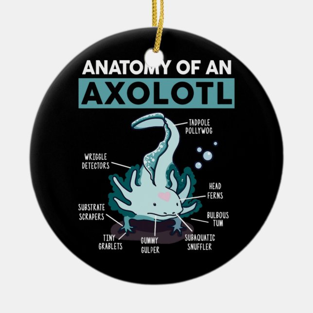 Cute Anatomy Of An Axolotl Salamander Ceramic Ornament (Front)