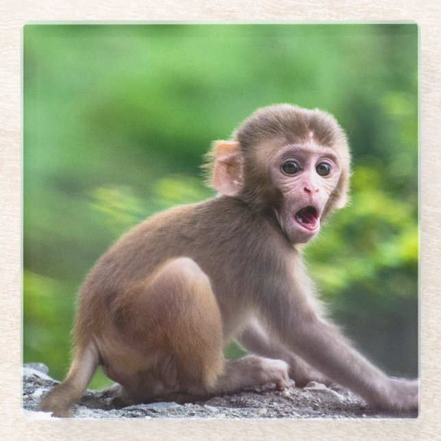Cute and Adorable Baby Monkey Glass Coaster (Front)