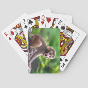 Cute and Adorable Baby Monkey Playing Cards