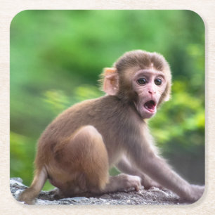 Cute and Adorable Baby Monkey Square Paper Coaster
