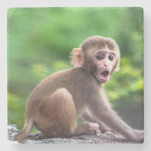 Cute and Adorable Baby Monkey Stone Coaster (Front)