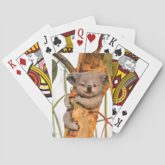 Cute and beautiful Koala Playing Cards
