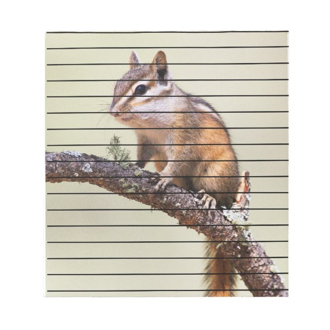 Cute and chubby chipmunk notepad (Front)