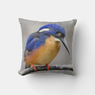 Cute and Colourful Kingfisher or Alcedinidae Bird Cushion