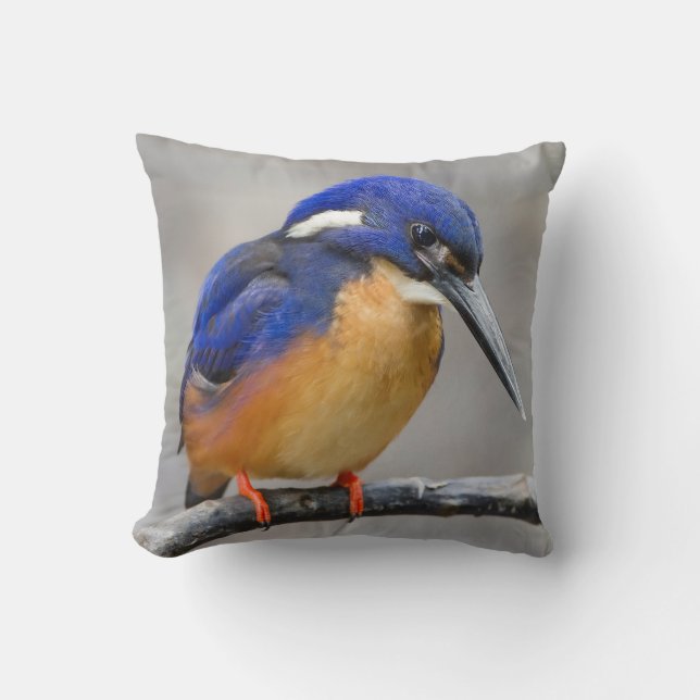 Cute and Colourful Kingfisher or Alcedinidae Bird Cushion (Front)