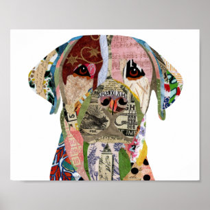 Cute and Colourful Labrador Retriever Poster 8"x10