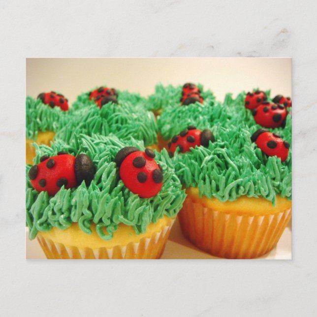 Cute and colourful ladybug cupcakes postcard (Front)