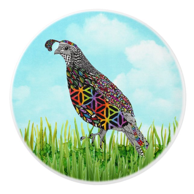 Cute and Colourful Mountain Quail Door Knob (Front)