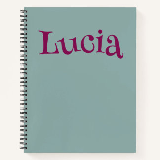 Cute and Colourful  Notebook