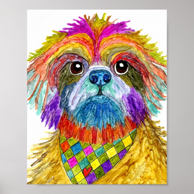 Cute and Colourful Shih Tzu Poster 8"x10" (Front)