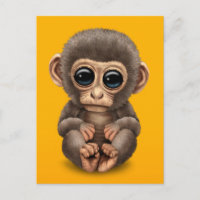 Cute and Curious Baby Monkey on Yellow