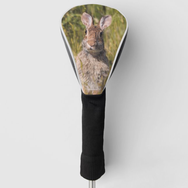 Cute and Curious Eastern Cottontail Rabbit Golf Head Cover (Front)