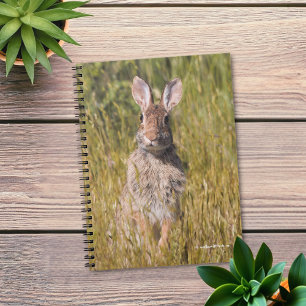 Cute and Curious Eastern Cottontail Rabbit Notebook