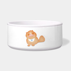 Cute and funny baby kitten with bib pet bowl