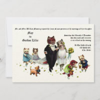 Cute And Funny Bride & Groom Wedding Cats