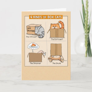 Cute and Funny Cats in Boxes Birthday Card