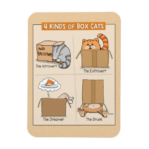 Cute and Funny Cats in Boxes Magnet