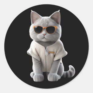 cute and funny cats wearing clothes classic round sticker
