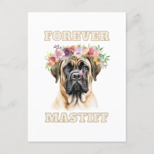 Cute and Funny English Mastiff Dog with Flowers Postcard