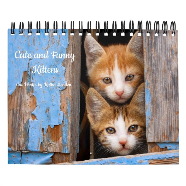 Cute and Funny Kittens Cat Photo -- Calendar (Cover)