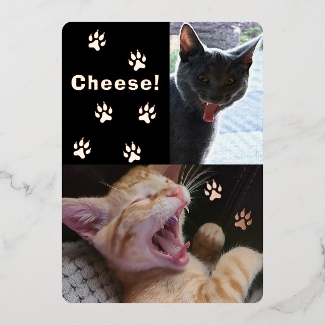 Cute and Funny Laughing Cats Greeting Card (Front)