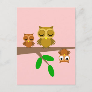 cute and funny owls postcard