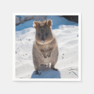 Cute and happy Quokka on the beach in Australia Napkin