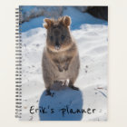 Cute and happy Quokka on the beach in Australia
