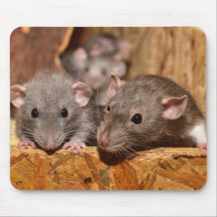 Cute and Ironic Mouse Pad